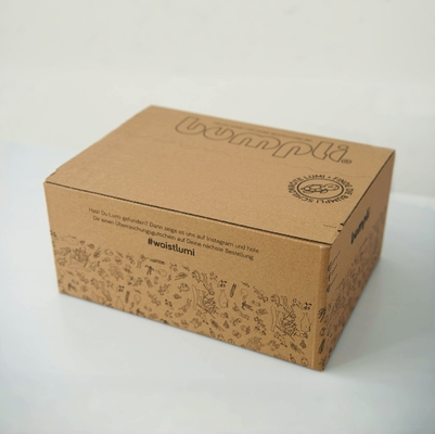 Tear Strip Zipper Box, Custom Corrugated Shipping Box Untuk Pakaian
